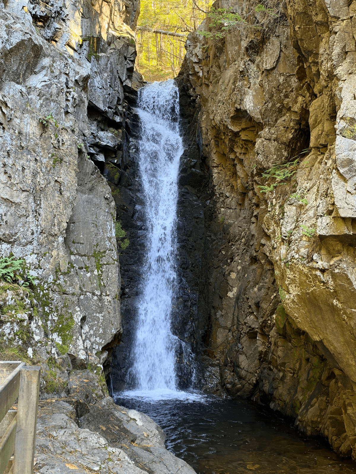 Brook Walk at Castle in the Clouds