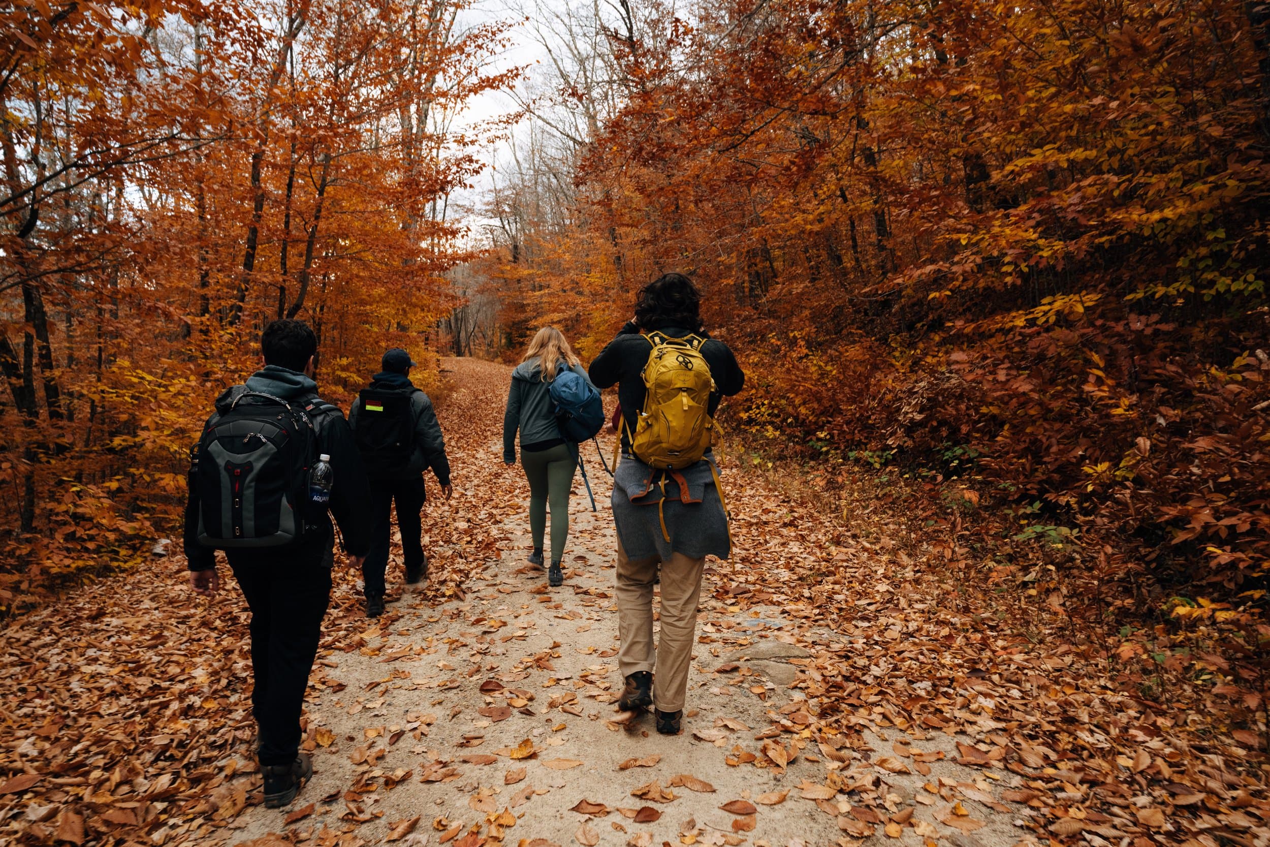 Hikers on a fall foliage trail