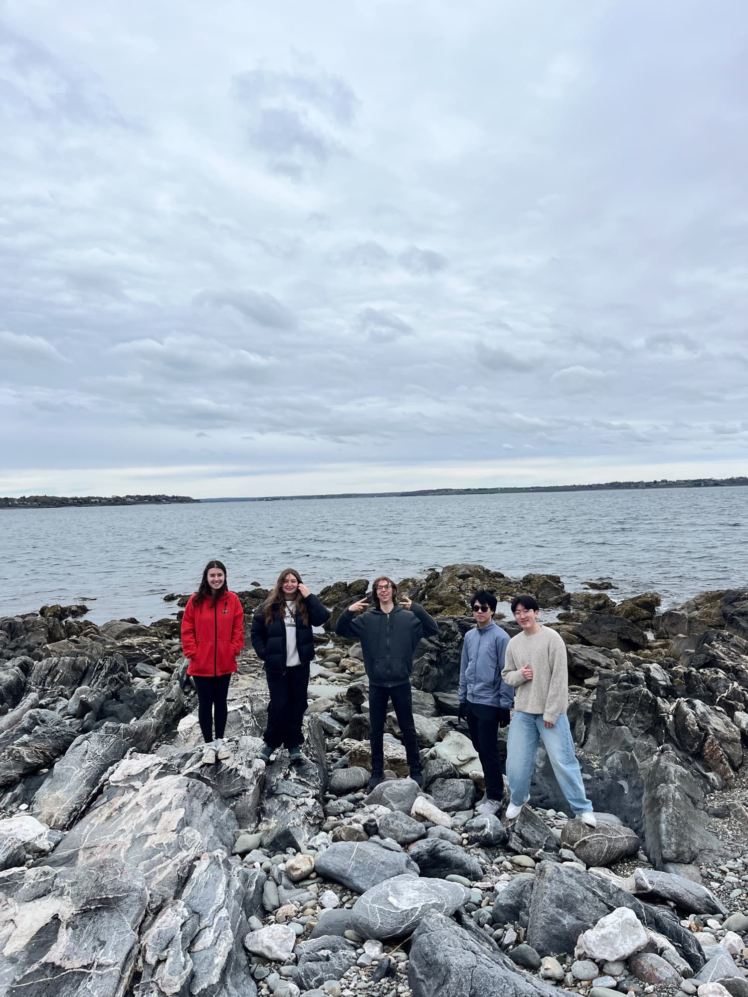 Members at a Newport mansion during daffodil season