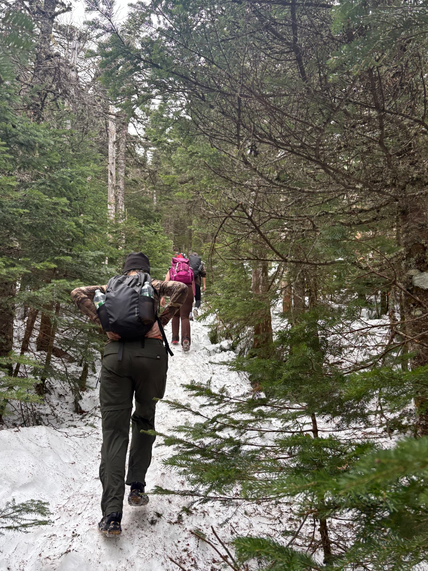A hiker on the snowy trail to Mount Field